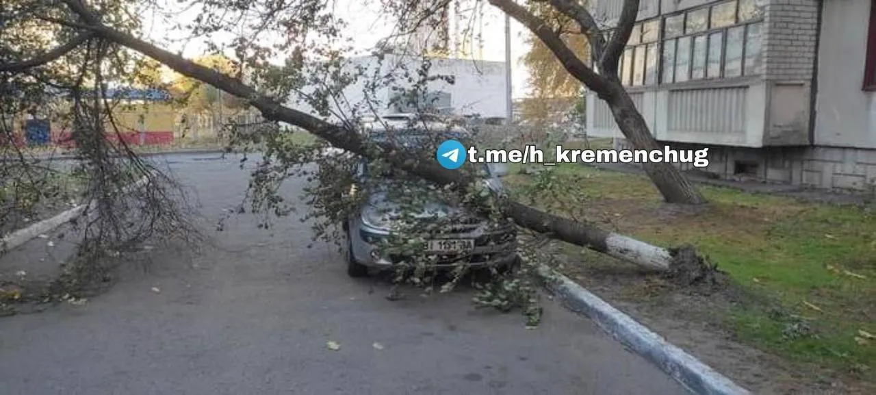 Валить дерева, пошкоджено авто: в Україні вирує сильний вітер. Фото і відео