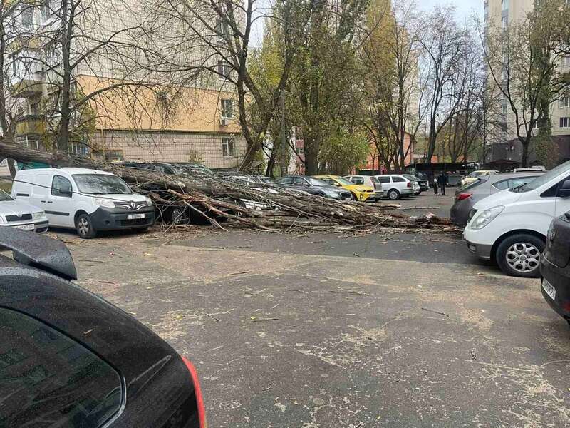 Валить дерева, пошкоджено авто: в Україні вирує сильний вітер. Фото і відео