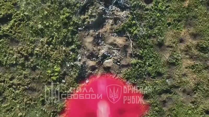 Всегда есть результат: в Нацгвардии показали уничтожение вражеской пехоты на Лимано-Купянском направлении. Видео dqxikeidqxiqqeant