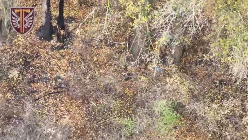 Украинские защитники разгромили танковое подразделение врага под Купянском: зрелищные кадры