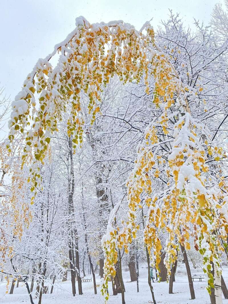 В Україну прийшла