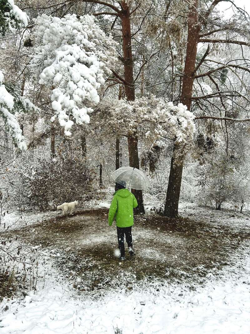 В Україну прийшла