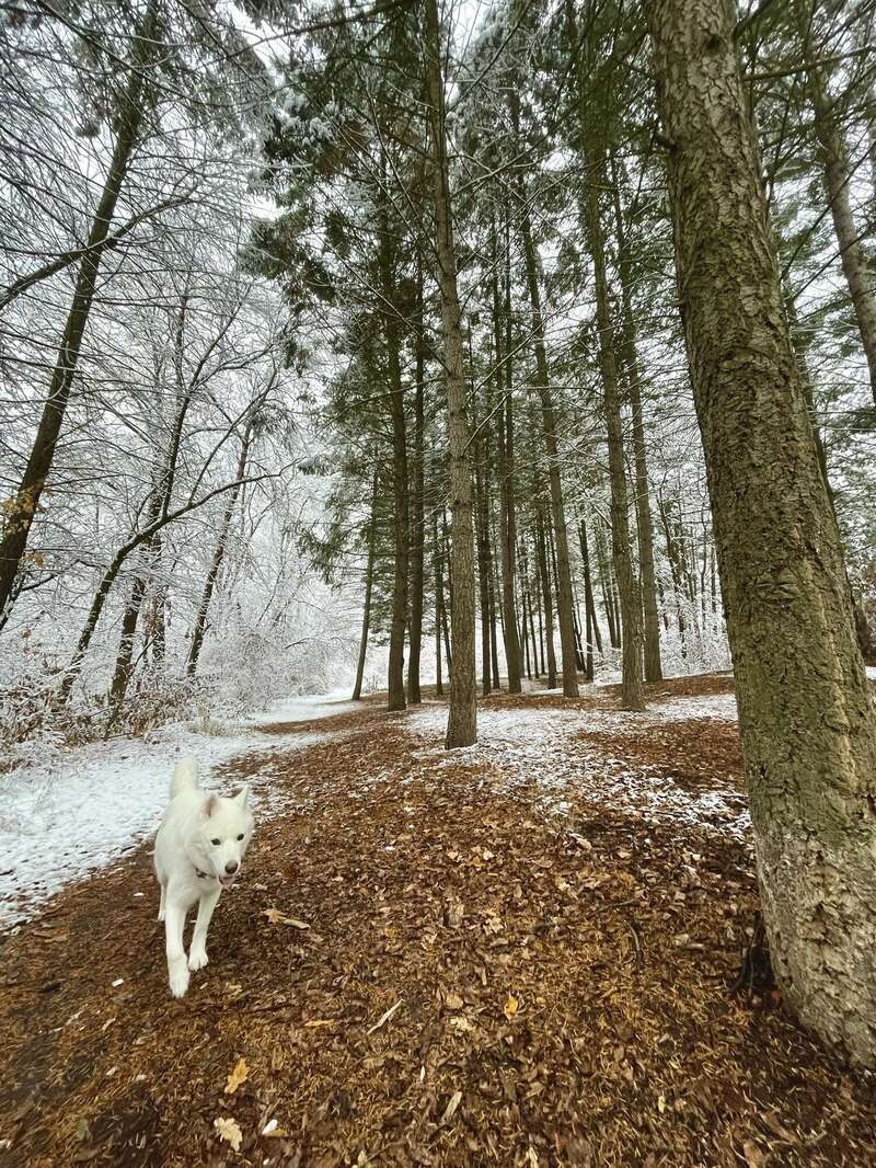 В Україну прийшла