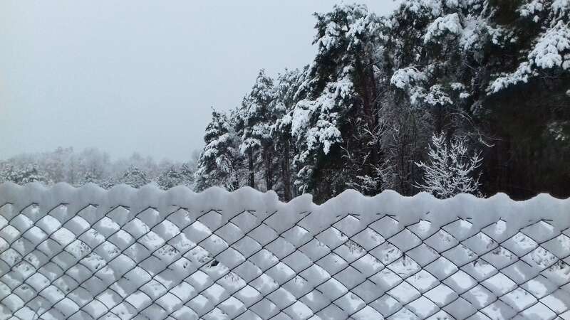 В Україну прийшла