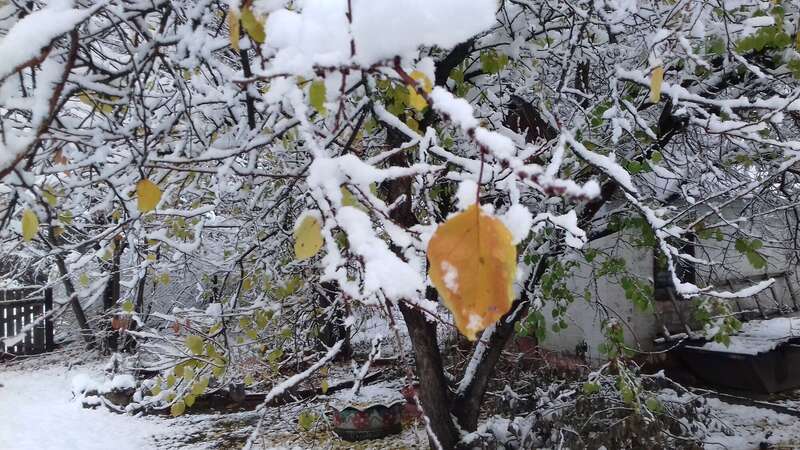 В Україну прийшла