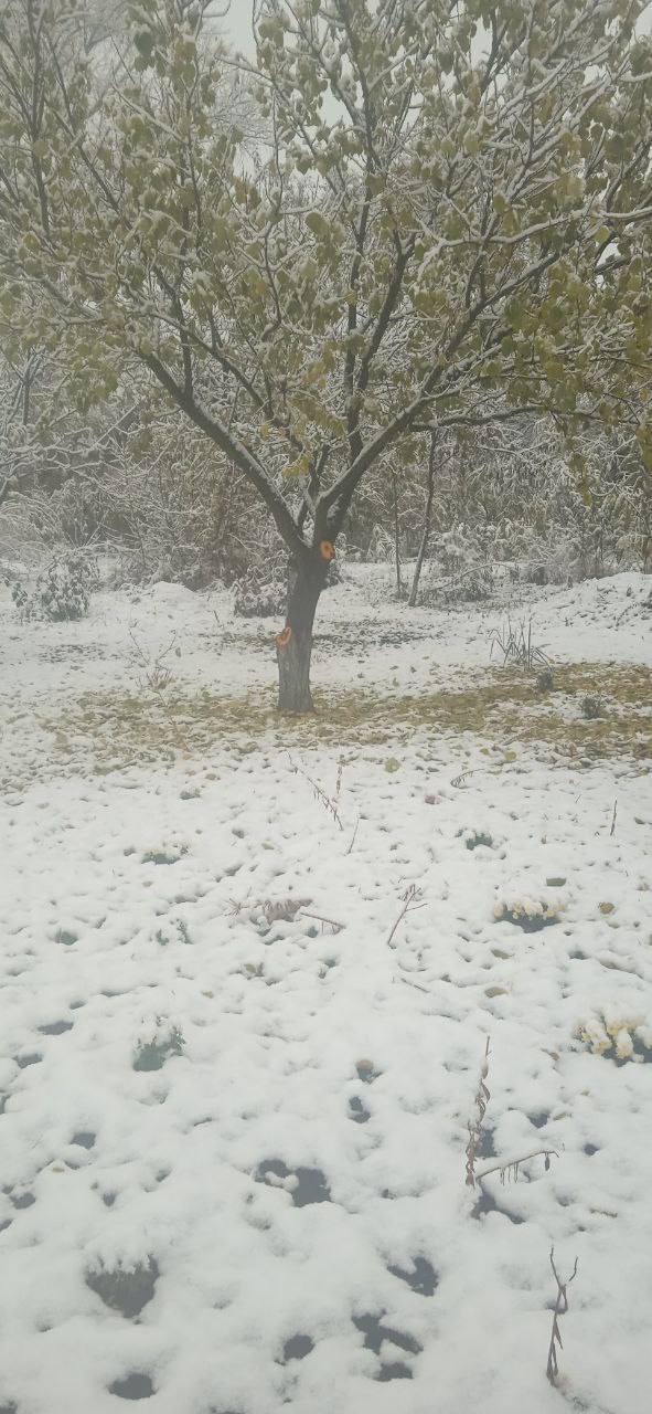 В Україну прийшла