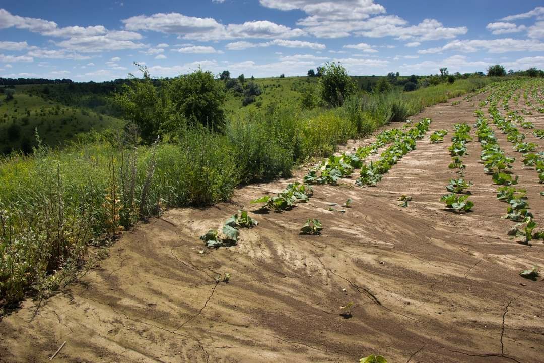   ,       3 ,         .     ,      .   