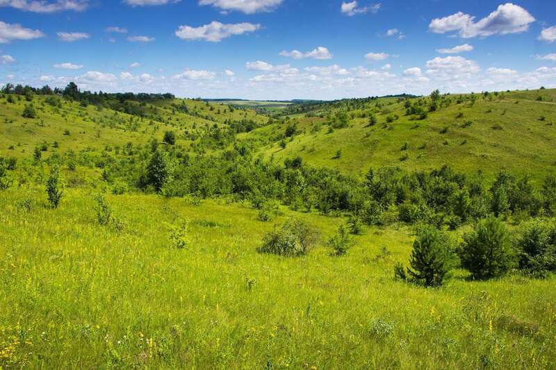       ?            ,    .   , ,   , ,      ,      ,  ,         ,         . ,  .   