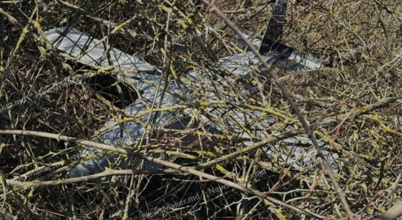 БПЛА, дрон, Молдова, фото dqxikeidqxitkant