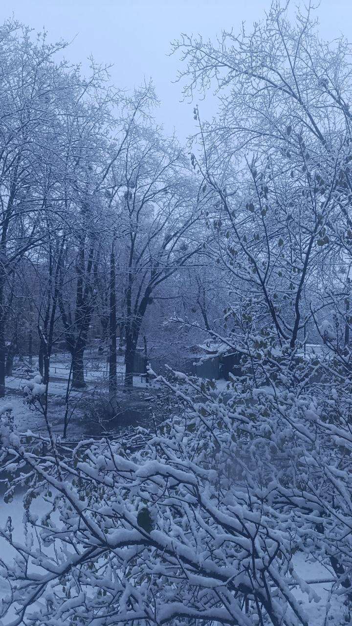 У Києві випав перший сніг та спровокував численні затори. Фото та відео