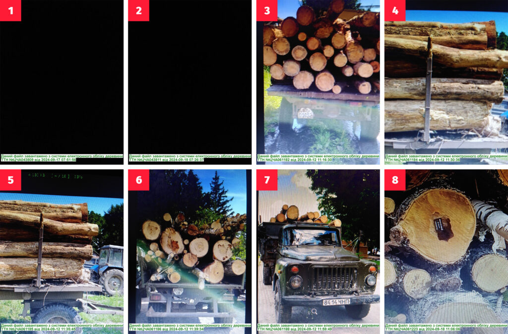        «». 1  2    , 3-8   ,   ,      ,      