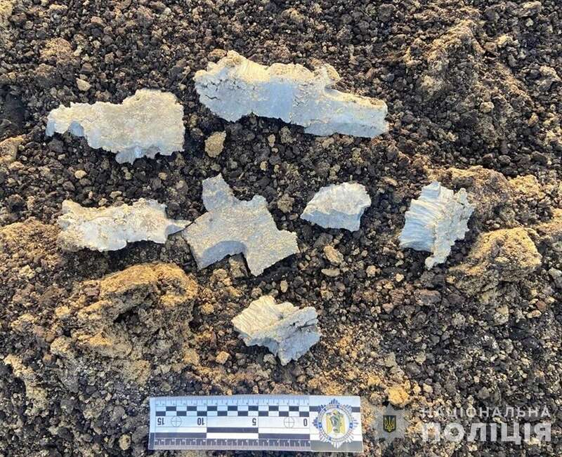 Fell in the field: in Zhytomyr region, explosives experts neutralized the warhead of a Russian missile. Photo dqxikeidqxitkant