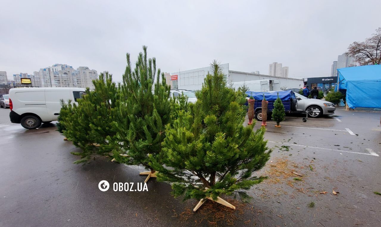 ϳ    :       .  dqxikeidqxitkant