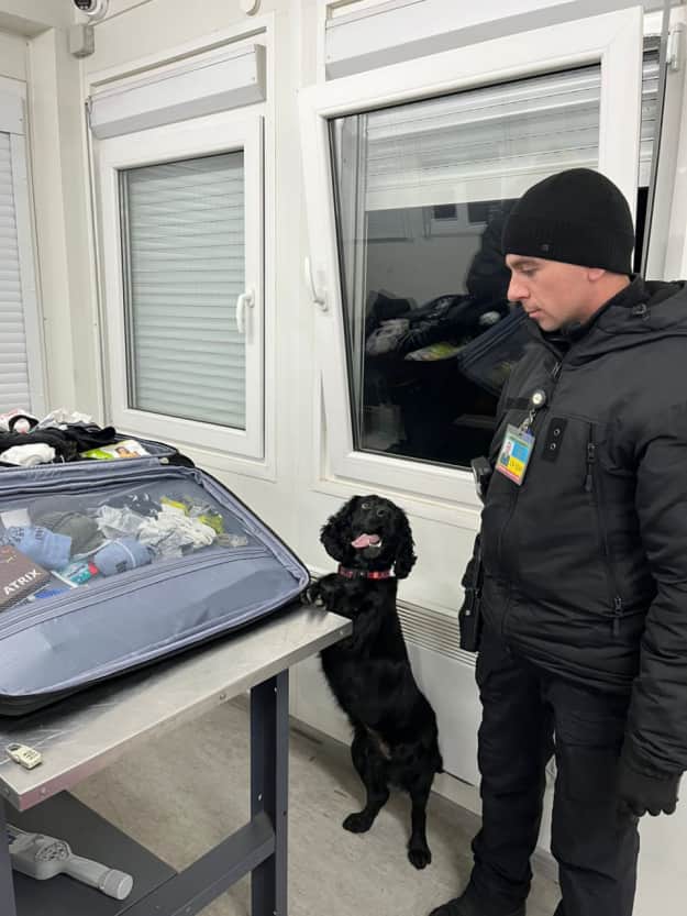 Фото: Facebook dqxikeidqxitkant