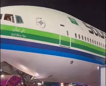 Усик проник в кабину самолета и отказывался спускаться во время прибытия Фьюри. Видео dqxikeidqxitkant