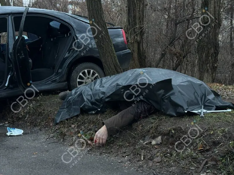       ,    :    .    dqxikeidqxitkant