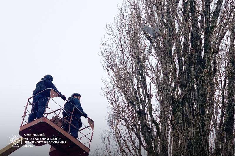 Hanging on the tree: sappers removed a Russian decoy drone in the Kyiv region. Photo dqxikeidqxitkant