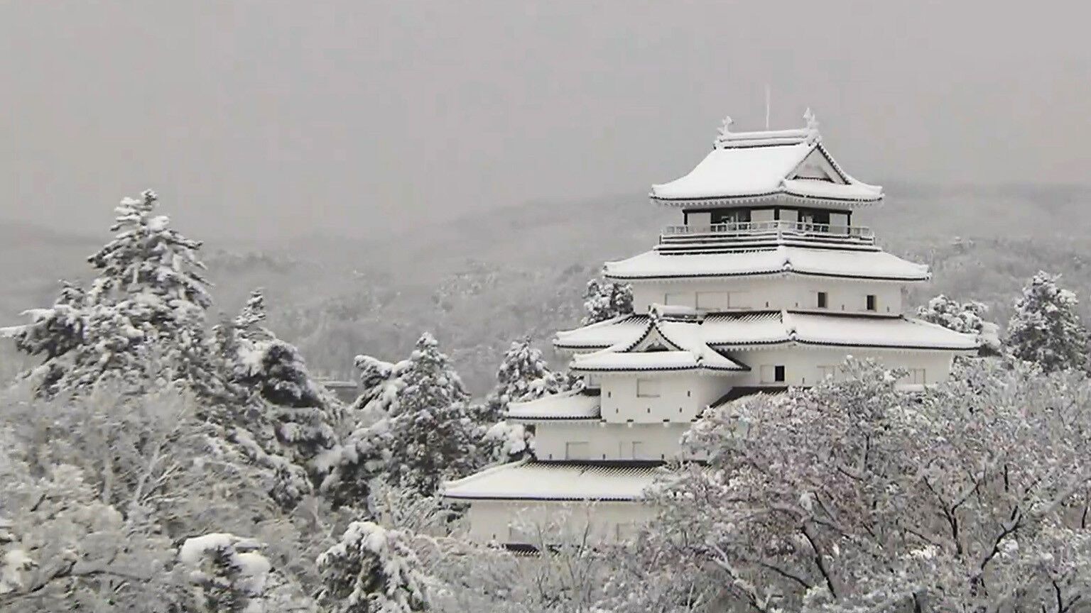    :          dqxikeidqxitkant