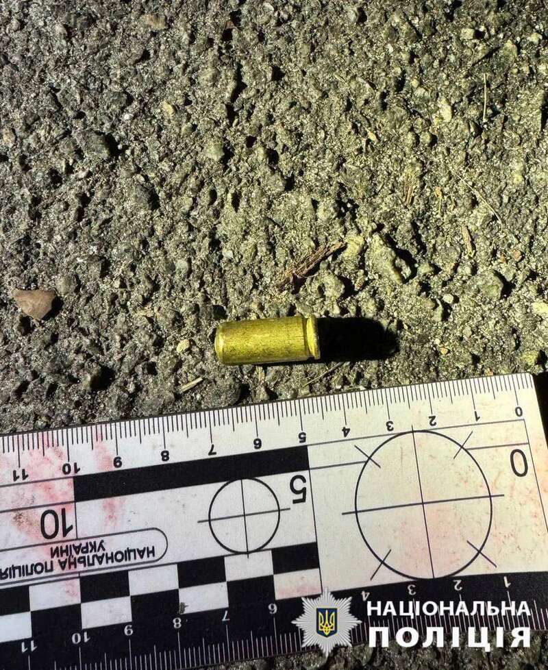 В Киеве конфликт между владельцами собак чуть не закончился убийством. Подробности дела и фото dqxikeidqxiqqeant