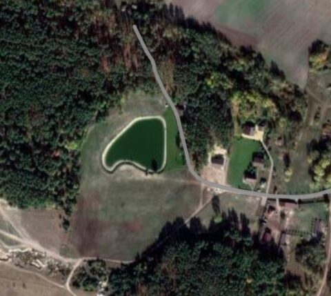 Пруд на участке Анны Болоховец выкопали в 2012 году (скриншот из Google Earth Pro)