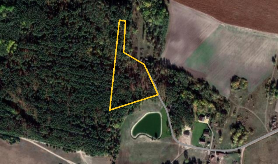 Желтым на карте обозначена приблизительная территория государственного леса, который был выделен в пользование «ДСОК “Спарта”». Эта территория входит в пределы частного «хутора» (фото на основе данных проекта Deep Green Ukraine)