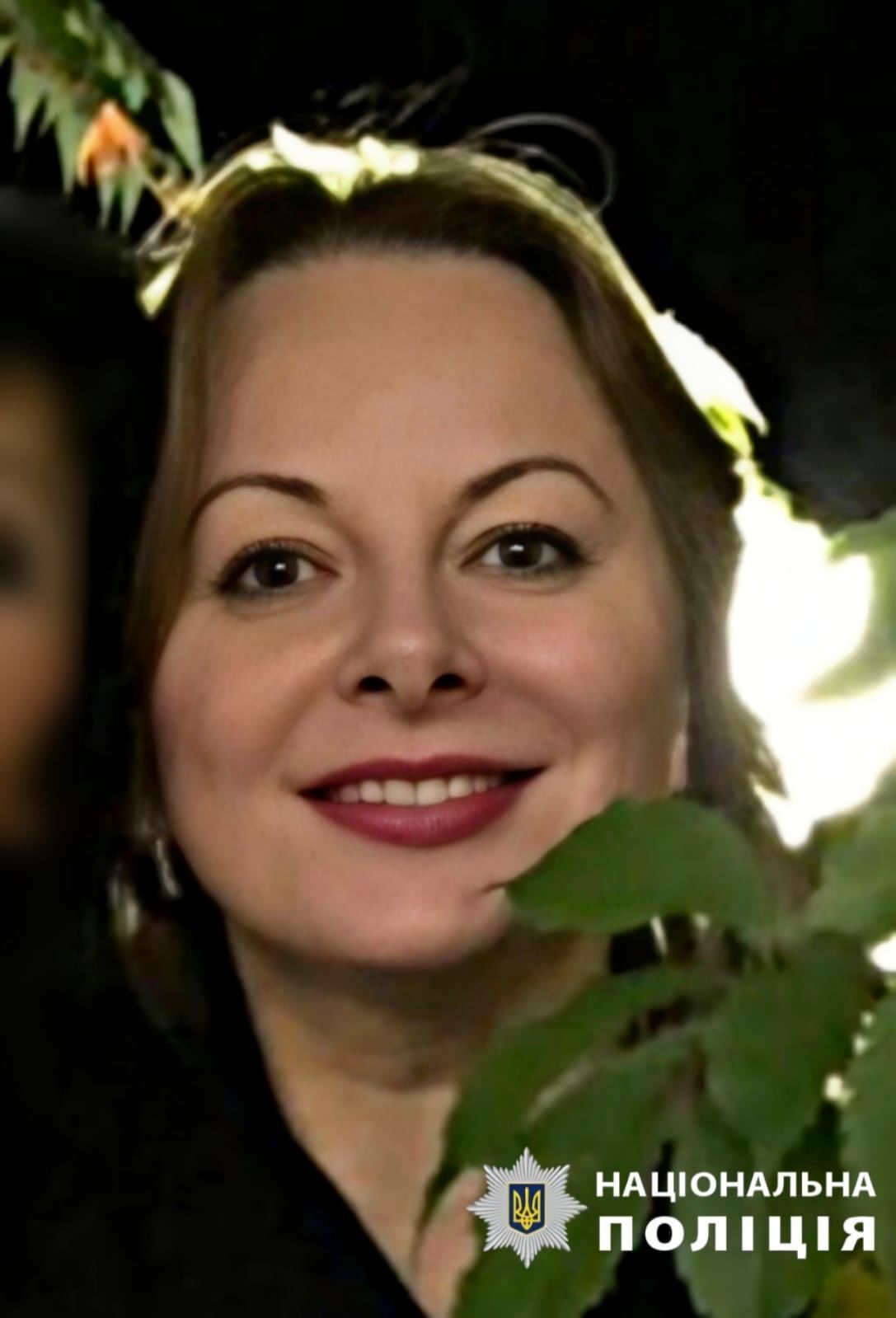      / :    / ©  dqxikeidqxitkant