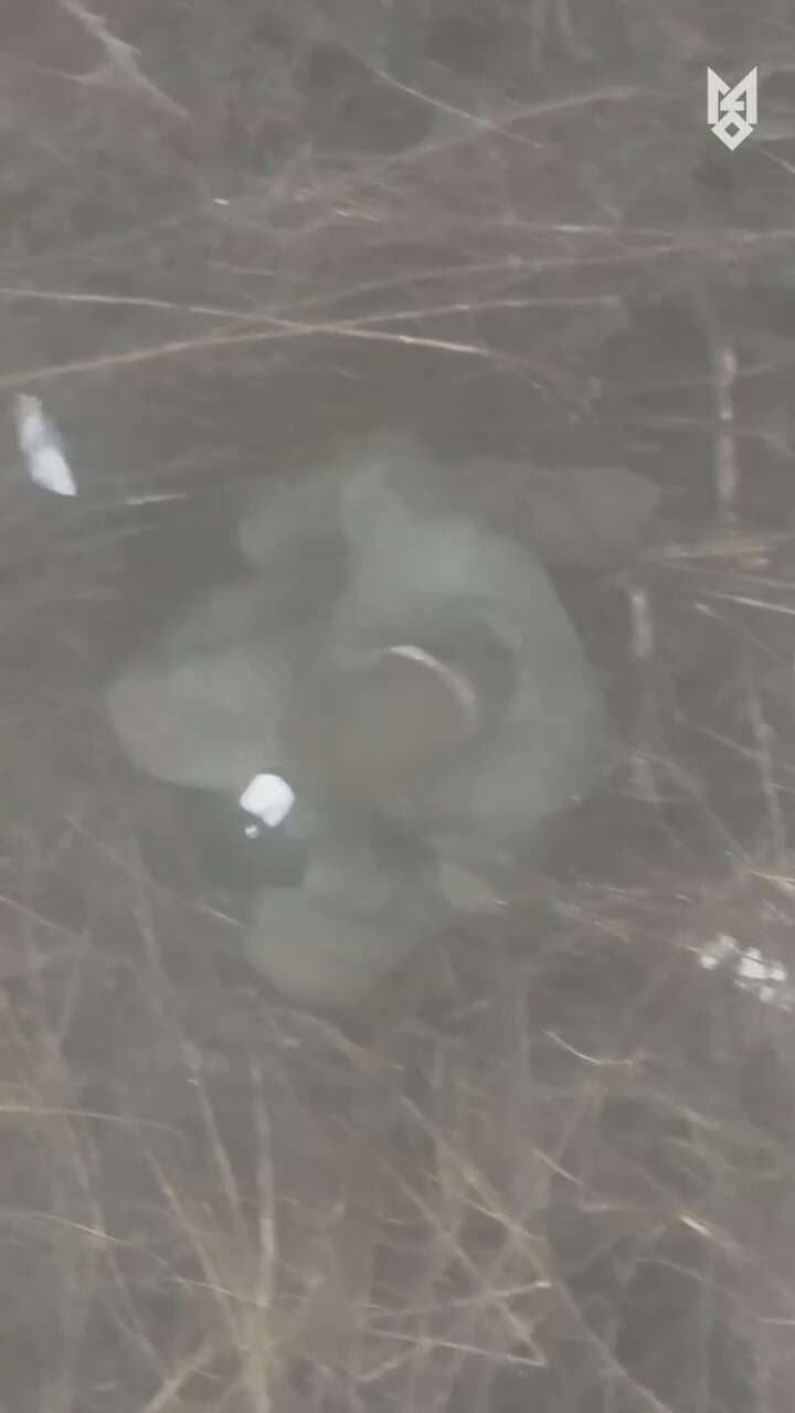      :         . ³  dqxikeidqxiqqeant