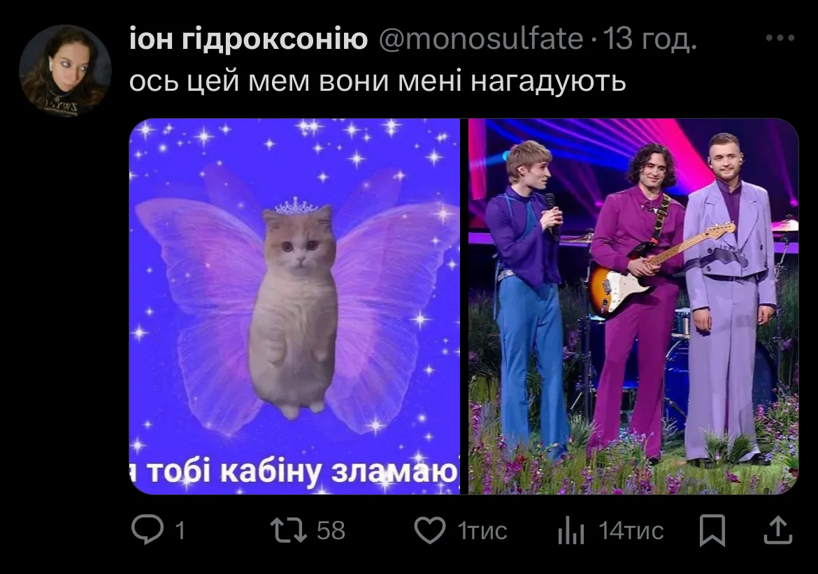 К-поп, голосування за Байдака і кошенята зі