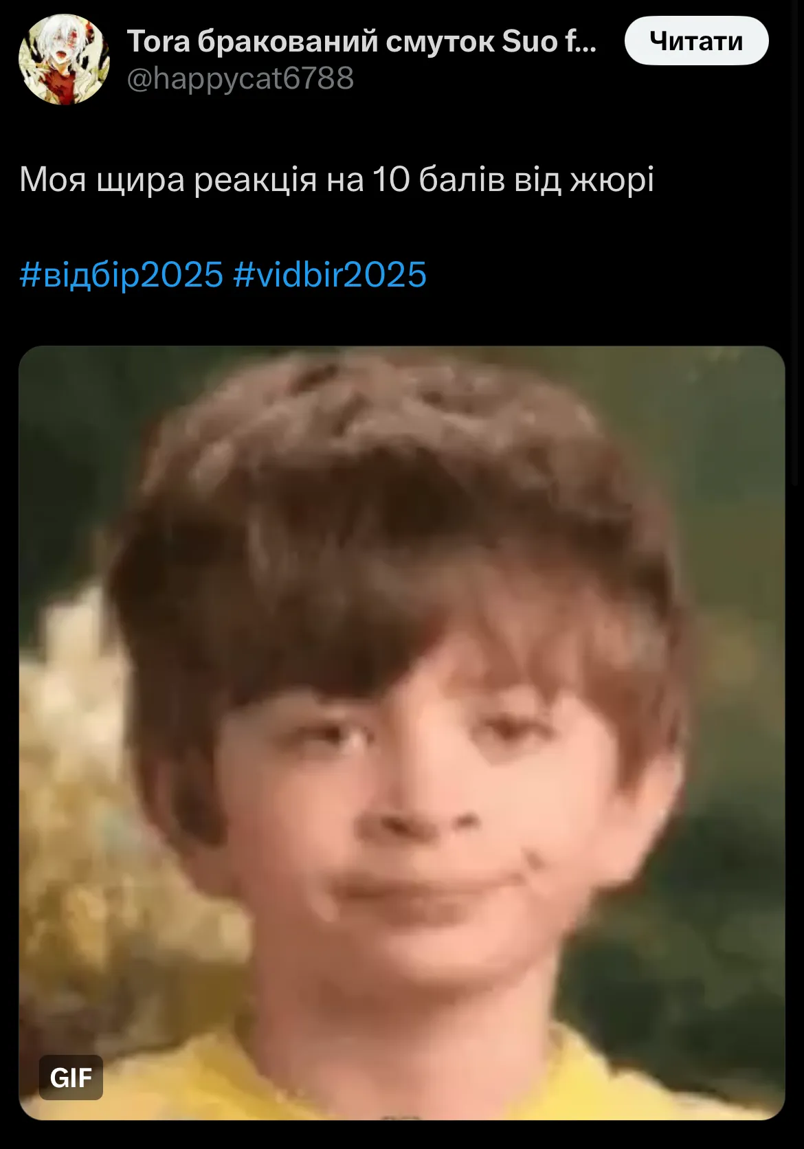 К-поп, голосование за Байдака и котята из