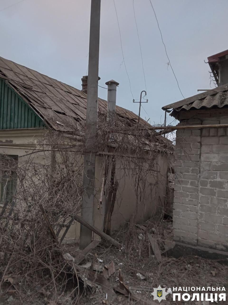     -         -  dqxikeidqxiqqeant