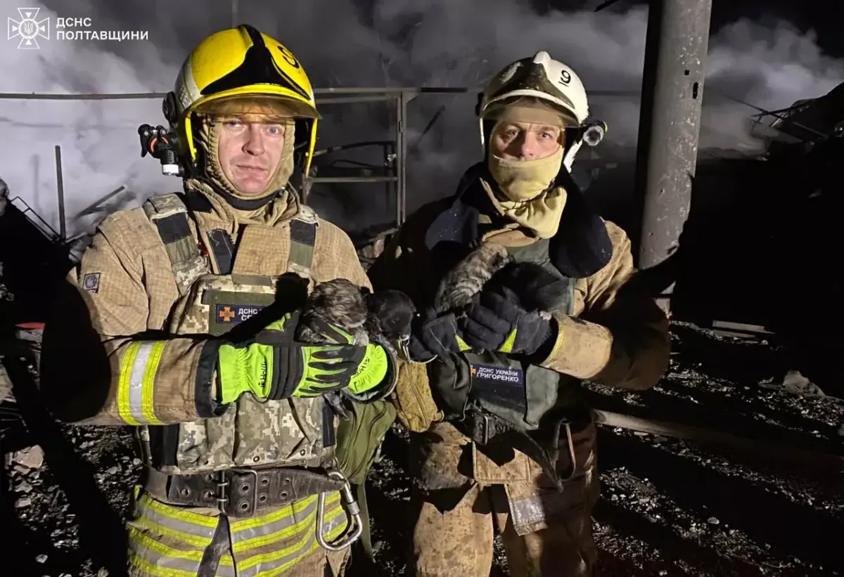 Image dqxikeidqxitkant