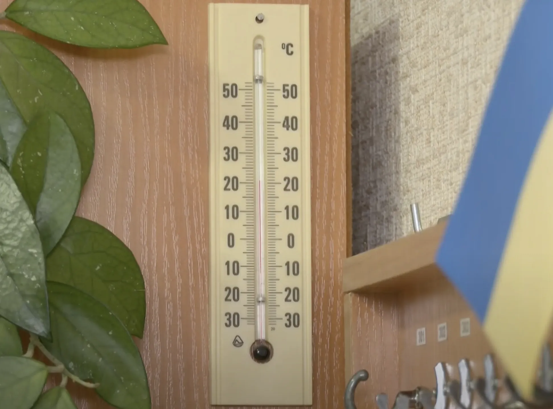 В лицее Ровно дети организовали dqxikeidqxiqqeant