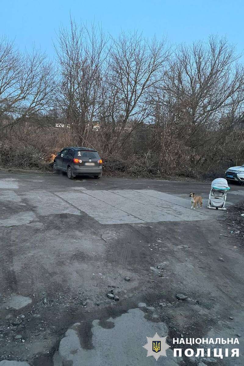 На Черкасщине водитель сбила женщину с ребенком в коляске: мать мальчика погибла на месте. Фото dqxikeidqxiqqeant