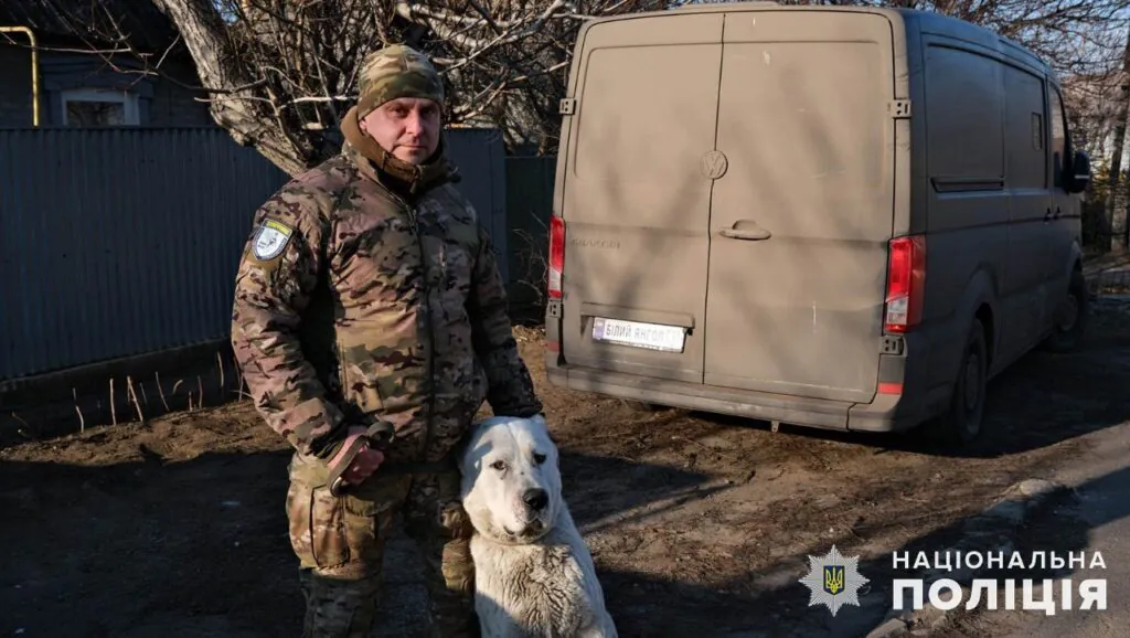 Из Покровска эвакуировали брошенного алабая и нашли ему новый дом dqxikeidqxitkant