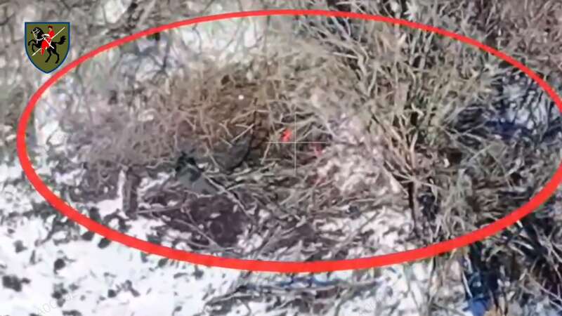 Воїни 110-ї бригади змусили ворога відступити із захоплених рубежів на Новопавлівському напрямку. Відео