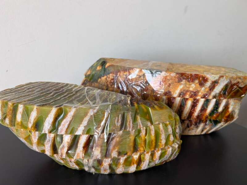 В почтовом отправлении из Пирятина в США сотрудники столичной таможни обнаружили зубы мамонта: фото dqxikeidqxiqqeant