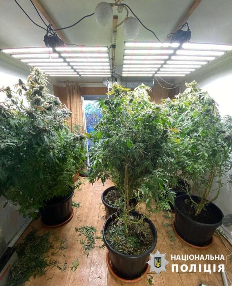       ,     :  dqxikeidqxitkant