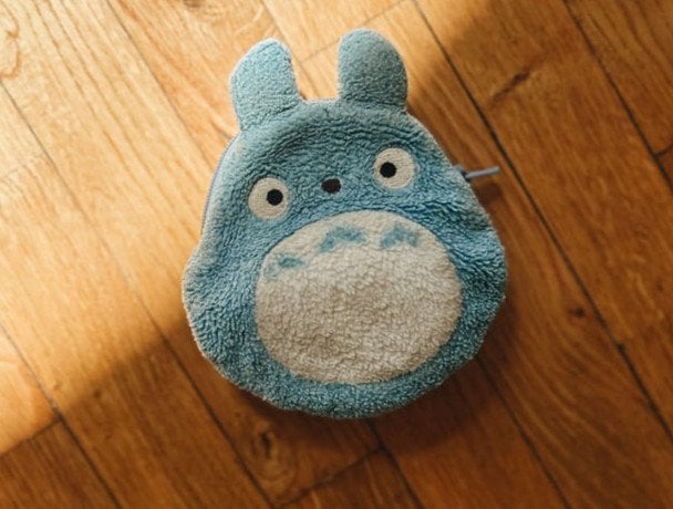 Незвичний гаманець Ольги Шиленко. Фото з її сторінки у Facebook dqxikeidqxitkant