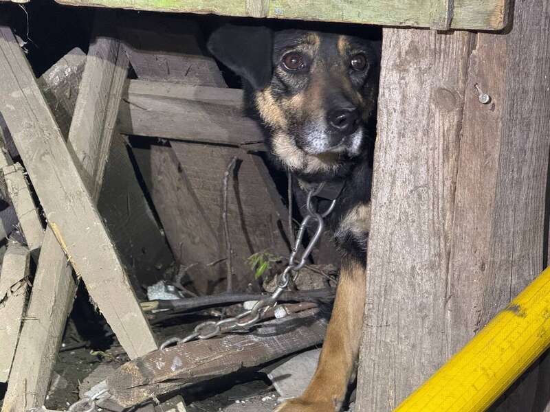 Окупанти атакували Одесу дронами, спалахнули пожежі: є постраждалі. Фото і відео