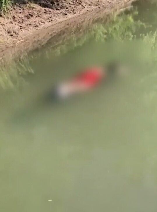 Уже 46-й случай: в Тисе нашли тело мужчины dqxikeidqxitkant