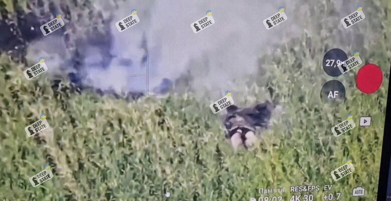 Destroyed Russian at the administrative border of the Dnipropetrovsk region dqxikeidqxitkant