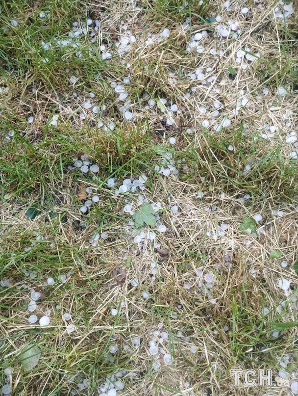      / ©  dqxikeidqxitkant