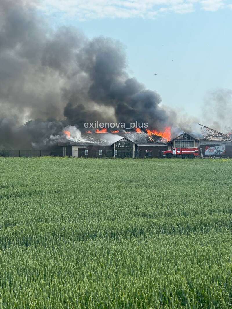      :      dqxikeidqxitkant