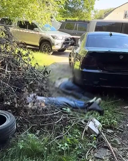 Voronychs killers eliminated dqxikeidqxitkant