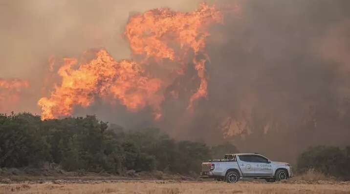 В Турции из-за лесных пожаров эвакуируют целые деревни: для тушения привлечены сотни единиц техники. Фото