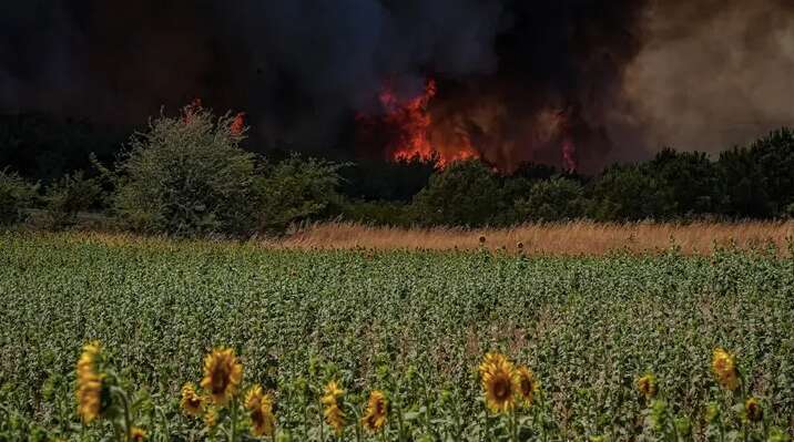 У Туреччині через лісові пожежі евакуюють цілі села: для гасіння залучено сотні одиниць техніки. Фото