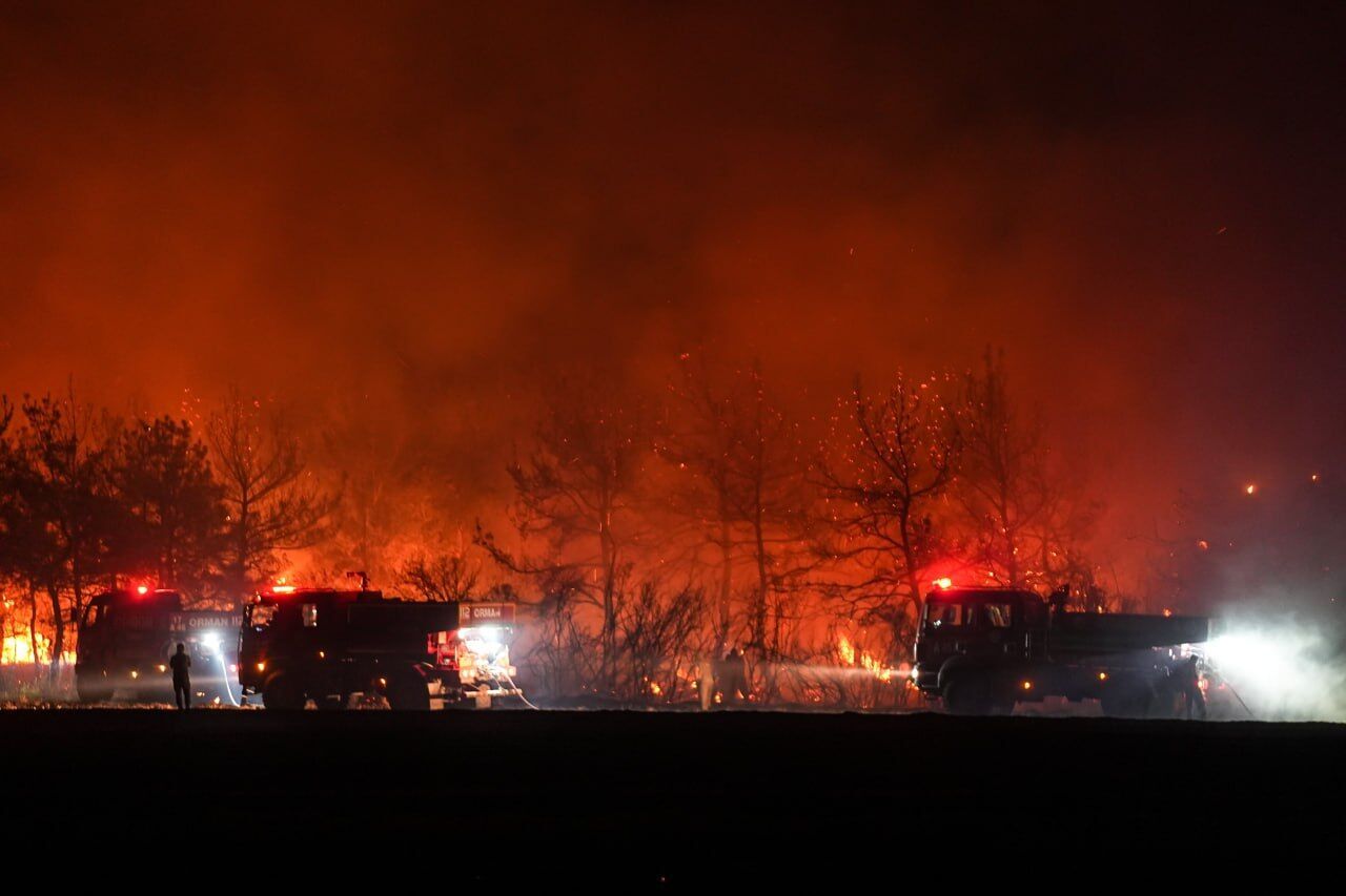 У Туреччині через лісові пожежі евакуюють цілі села: для гасіння залучено сотні одиниць техніки. Фото