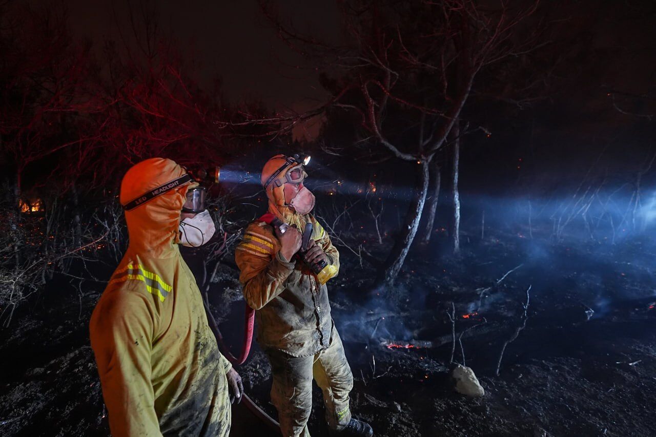 У Туреччині через лісові пожежі евакуюють цілі села: для гасіння залучено сотні одиниць техніки. Фото