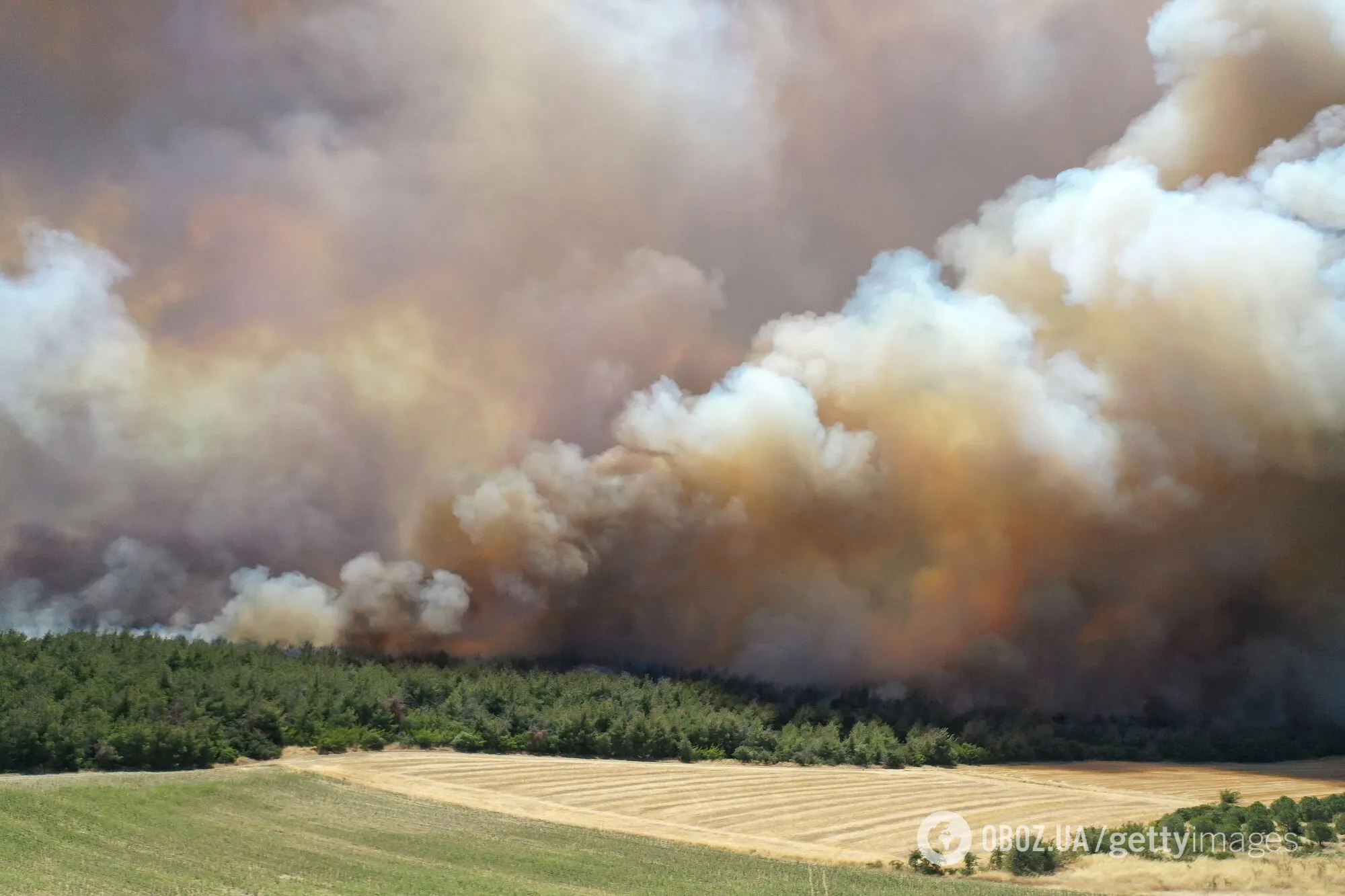 У Туреччині через лісові пожежі евакуюють цілі села: для гасіння залучено сотні одиниць техніки. Фото