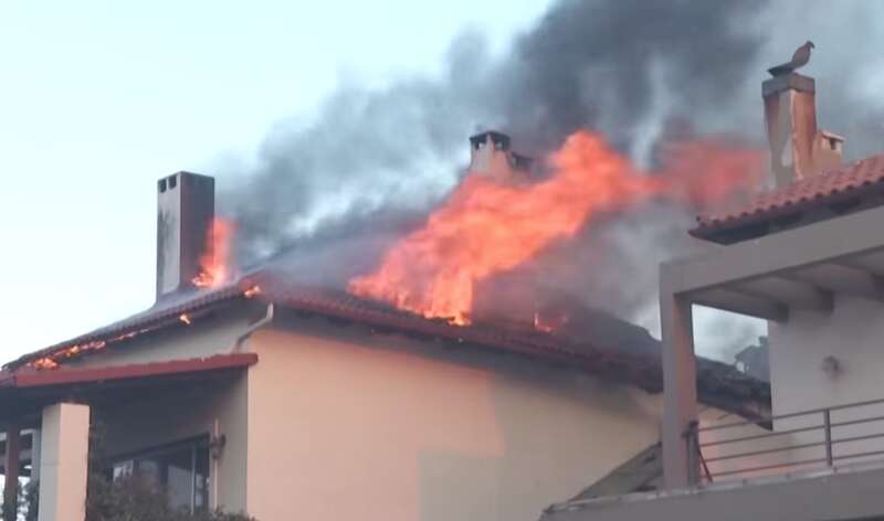 У Греції через аномальну спеку вирують лісові пожежі: уряд просить у ЄС пожежні літаки. Відео